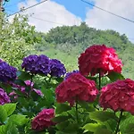 Szilvas 10 시글리게트