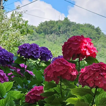 Szilvás 10 Szigliget