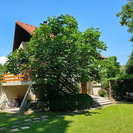 Szilvas 10