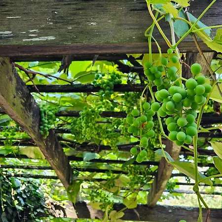 Szilvas 10 度假居 *