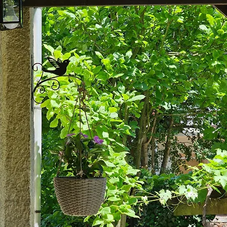 Holiday home Szilvas 10 *