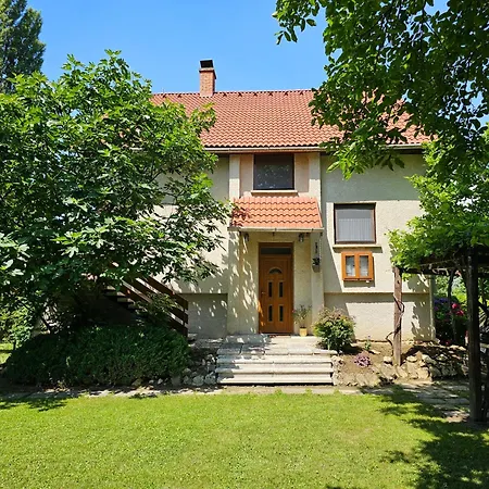 Szilvas 10