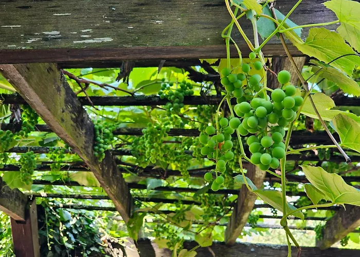 Szilvas 10 Holiday home *