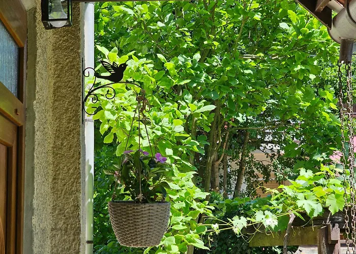 Holiday home Szilvas 10 *