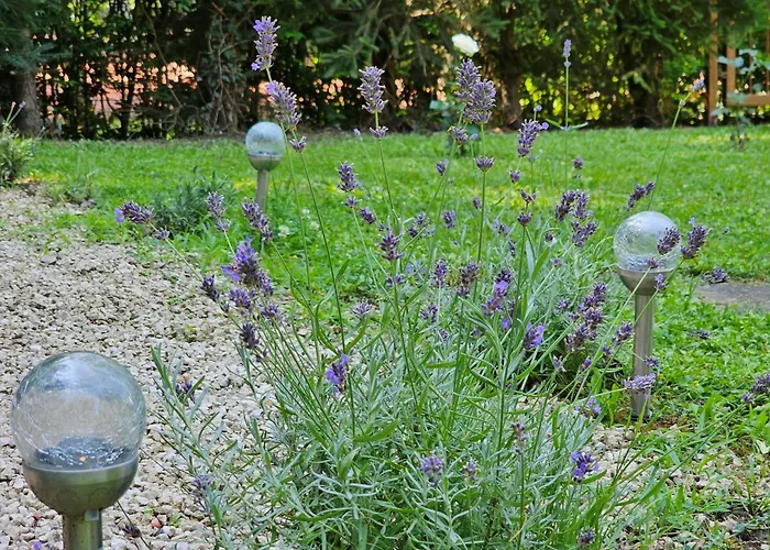 Szilvas 10 * Szigliget